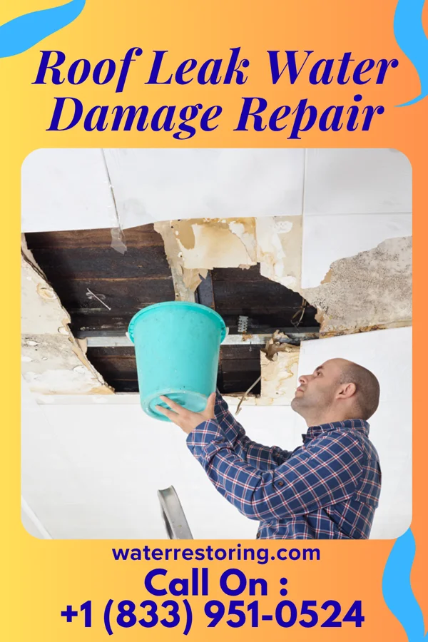 Roof Leak Water Damage Repair in Clarksville City, TX